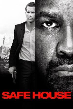 Safe House (2012) Hindi Dual Audio –